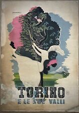 Torino sue valli usato  Torino