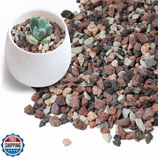 Rahato 5lbs terrarium for sale  San Jose