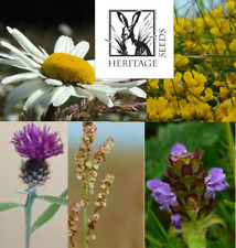 Wildflower plug plants for sale  WEYMOUTH