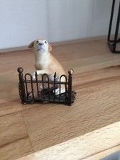 Labrador retriever albany for sale  COLCHESTER