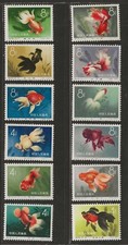 goldfish for sale goldfish for sale LOUGHBOROUGH