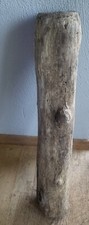 Treibholz wurzel ast gebraucht kaufen  Schwäbisch Hall