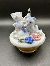 White spotted kittens for sale  Davis