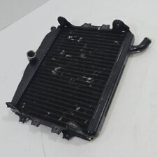Yamaha 500 kühler gebraucht kaufen  Hilchenbach