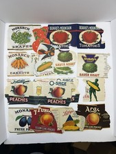 Lote vintage de papel enlatado rótulos frutas vegetais colagem efêmera comprar usado  Enviando para Brazil