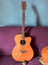 Ashbury lindisfarn guitar for sale  OXFORD