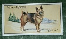 Elkhound vintage 1930 for sale  DERBY