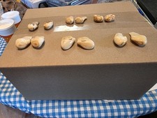 Six pairs great for sale  Eureka