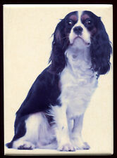 Magnet chien cavalier d'occasion  Dijon