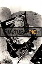 Photography miss piggy d'occasion  Marseille I