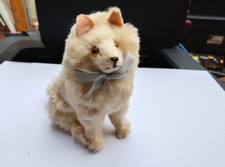 Spitz samoyed pomeranian for sale  WOKING