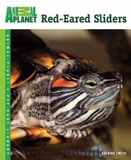 Red eared sliders for sale  Aurora