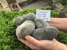 180 million year for sale  KNARESBOROUGH