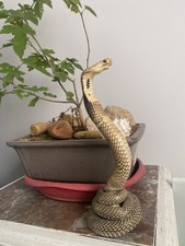Cobra taxidermie d'occasion  Carnoux-en-Provence
