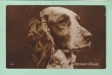 Animal postcard dogs for sale  WESTBURY-ON-SEVERN
