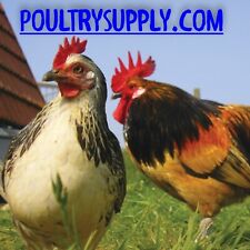 Poultrysupply.com domain name for sale  Santa Ana