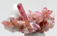 RUBELITA ROSA TURMALINA Racimo de Cristal Terminado Espécimen Mineral RUSIA segunda mano  Embacar hacia Mexico
