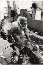 Cpm peche 25. d'occasion Cpm peche 25. d'occasion  Gennevilliers