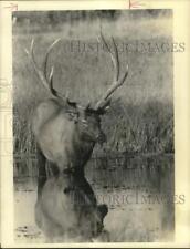 1973 press photo for sale  Memphis