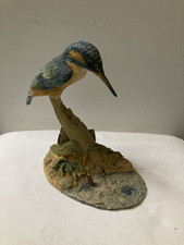 Kingfisher bird peering for sale  SHANKLIN
