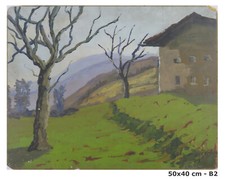 Quadro paesaggio alpi usato  Torino
