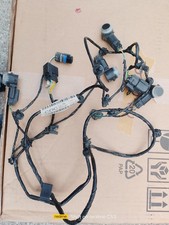 CABLAGGIO COMPLETO SENSORI PARCHEGGIO POSTERIORE PER FORD EcoSport 2021 comprar usado  Enviando para Brazil