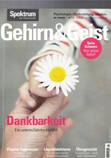 Gehirn geist zeitschrift gebraucht kaufen  Rennertshofen