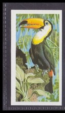 Cartão comercial inglês TOCO TUCAN - 45 + anos # 21 comprar usado  Enviando para Brazil