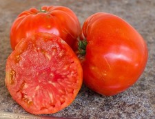 Russisch ukrainische tomate gebraucht kaufen  Versand nach Germany