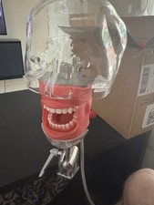 Dental simulator phantom for sale  Land O Lakes