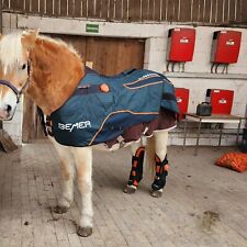 Bemer horse set gebraucht kaufen  Meschede