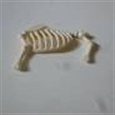 Playmobil piece rechange d'occasion  France