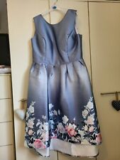 Chi chi blue for sale  SWANSEA