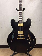 Epiphone emily wolfe d'occasion  Expédié en Belgium