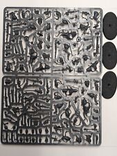 Serberys raiders sulphurhounds for sale  Old Forge
