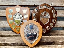 Wooden trophy big for sale  UK