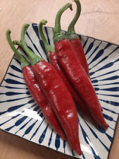 Paprika speziato szegedi usato  Spedire a Italy
