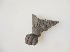 Victorian brass feet for sale  HARROGATE