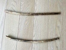 55cm long chunky for sale  CLACTON-ON-SEA