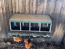 chicken nest box for sale  PETERBOROUGH