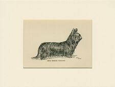 Skye terrier old for sale  COLEFORD