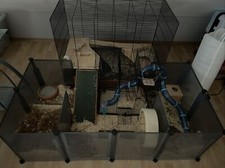 Kleintiergehege zubehör futte gebraucht kaufen  Mosbach