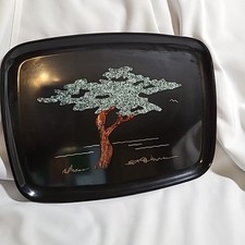 Couroc monterey cypress for sale  Scotts Valley