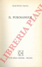 purosangue inglese usato  Italia