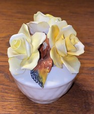 Radnor staffordshire china gebraucht kaufen  Reppenstedt