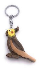 Nymphensittich sittich vogel gebraucht kaufen  Hamdorf