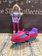 Barbie arctic rescue for sale  Orlando