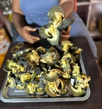 Oven dried snail for sale  ILFORD