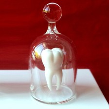 Kiva Ford Molar dente em um frasco miniatura 1,75" vidro soprado à mão borosilicato comprar usado  Enviando para Brazil