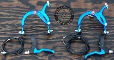 Blue cruiser bike for sale  Golden